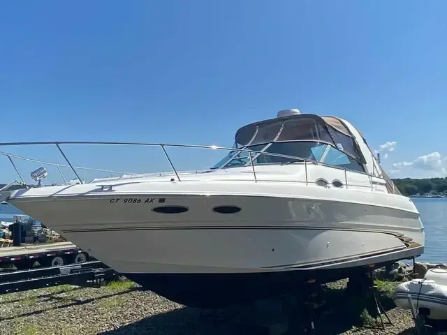 Sea Ray 31