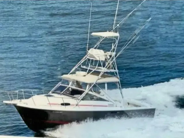 Blackfin Boats 29 Combi