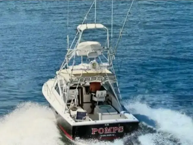 Blackfin 29 Combi