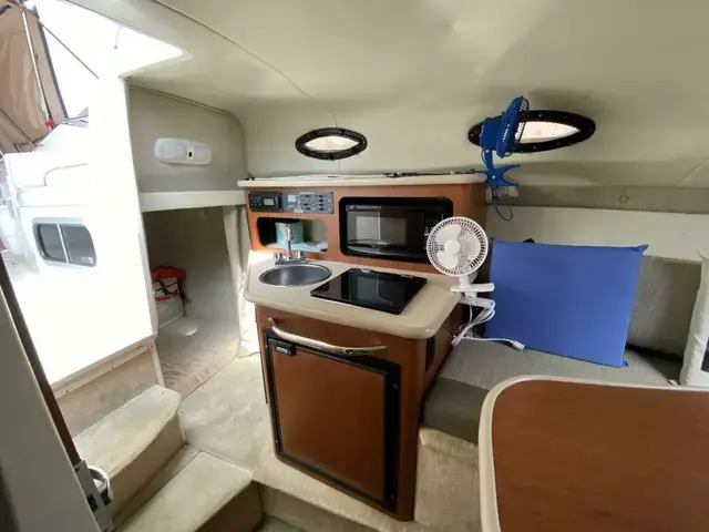 Chaparral 240 Signature