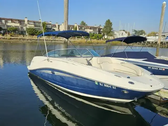 Sea Ray 260 Sundeck