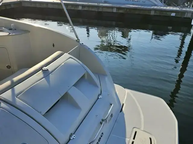 Sea Ray 260 Sundeck