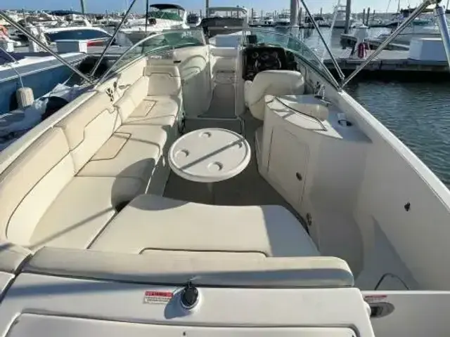 Sea Ray 260 Sundeck