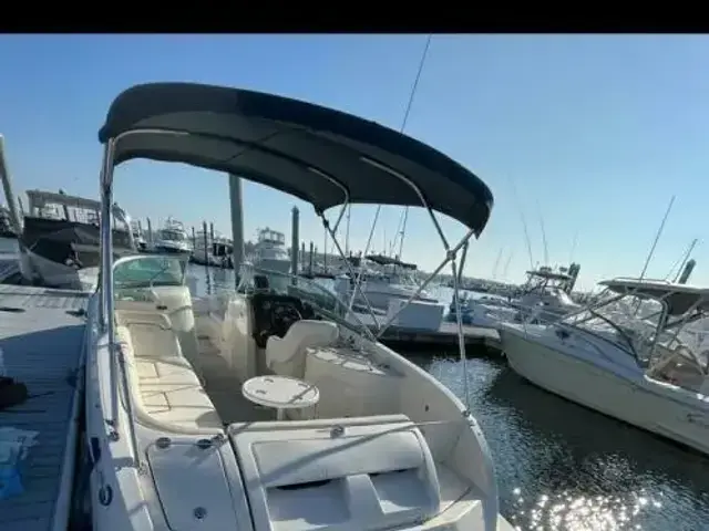 Sea Ray 260 Sundeck