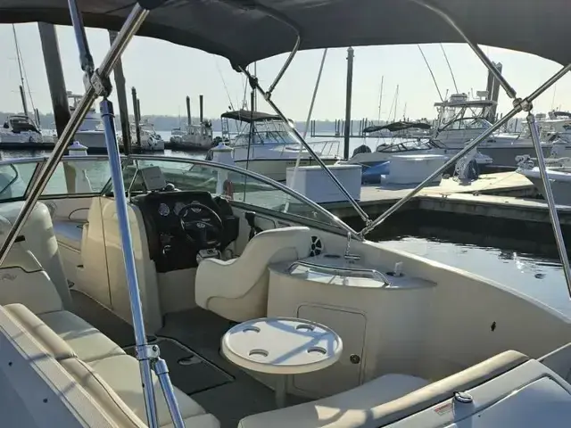 Sea Ray 260 Sundeck