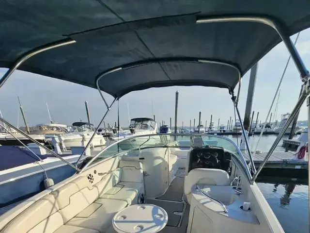 Sea Ray 260 Sundeck