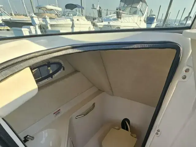 Sea Ray 260 Sundeck