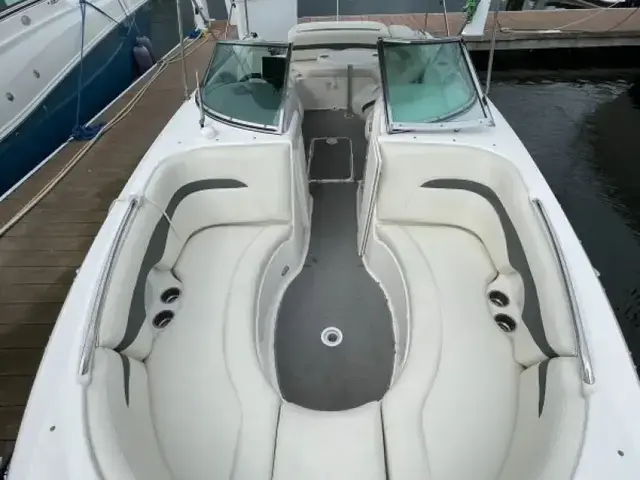 Chaparral Sunesta 236