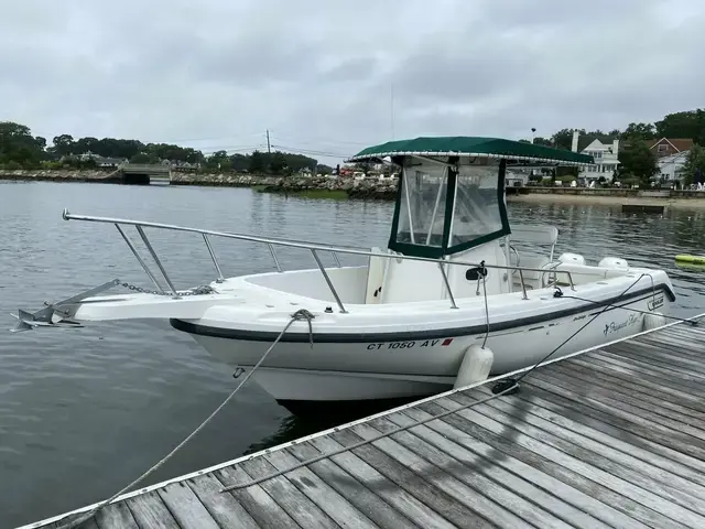 Boston Whaler 300 Outrage