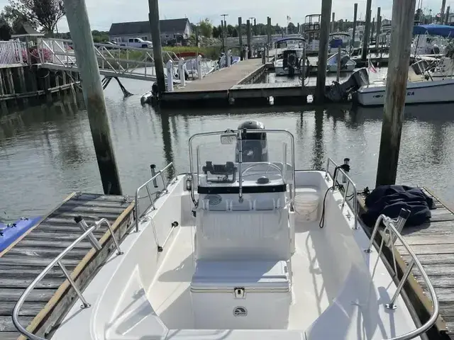 Boston Whaler 170 Montauk