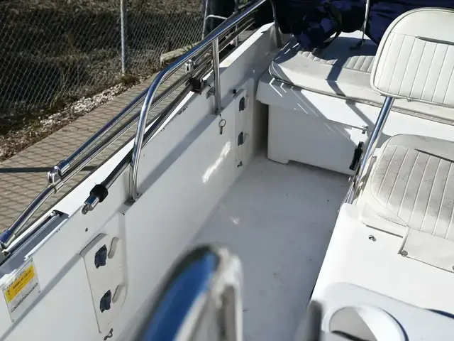 Boston Whaler 18 Outrage