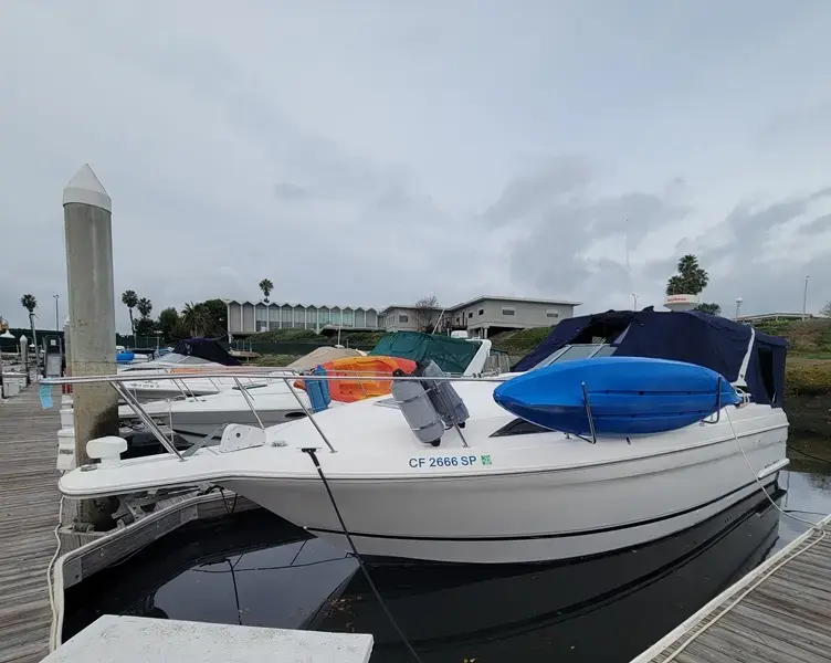 1995 Wellcraft martinique 3600