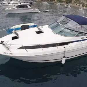 1995 Wellcraft 3600 Martinique