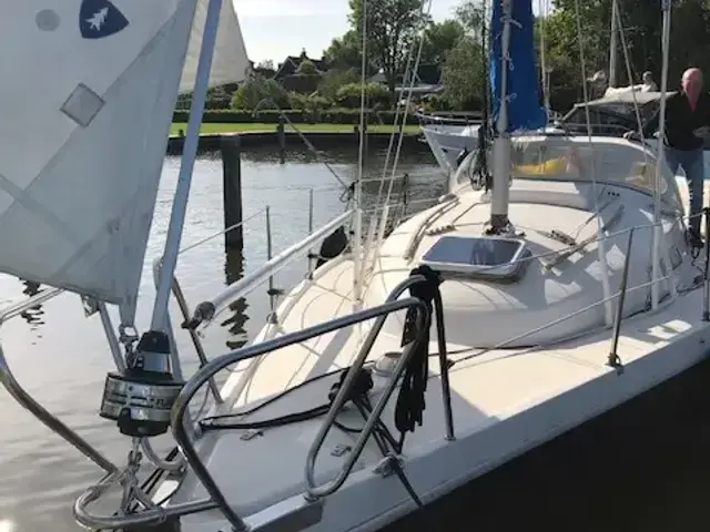 Arabesque 30