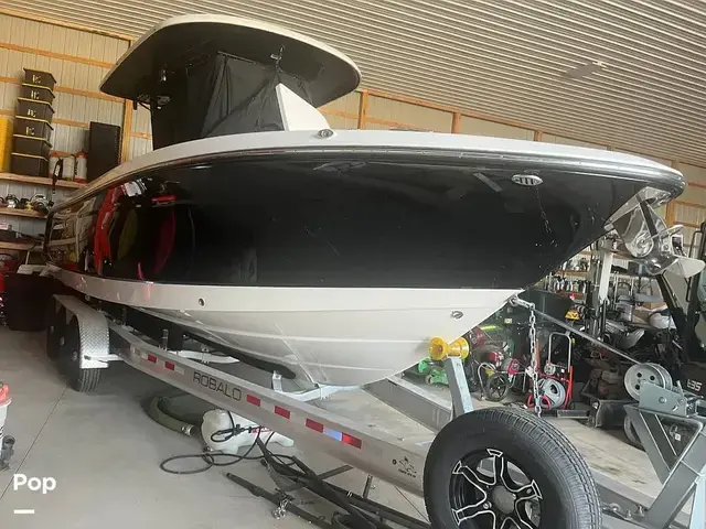 Robalo 272