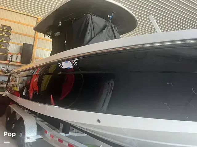 Robalo 272