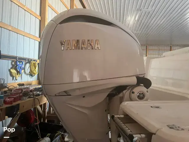 Robalo 272