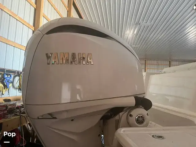 Robalo 272