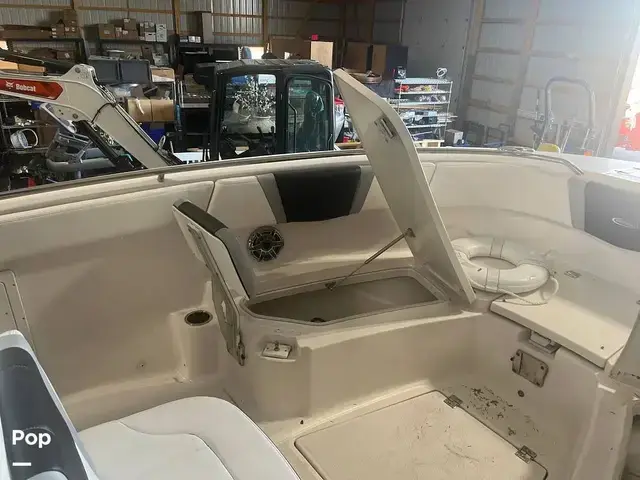 Robalo 272