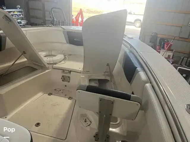 Robalo 272