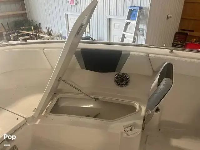 Robalo 272