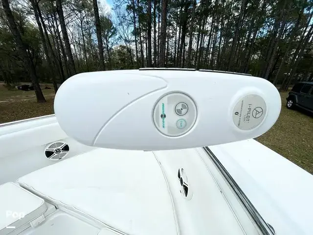 Robalo R260