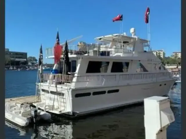 Viking Cockpit Motoryacht