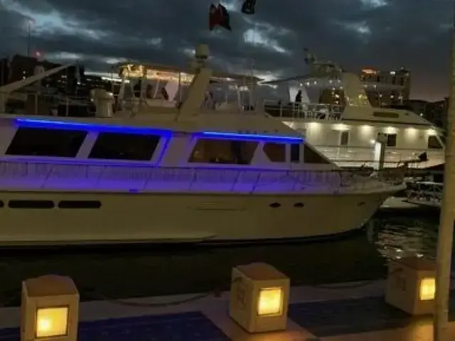 Viking Cockpit Motoryacht