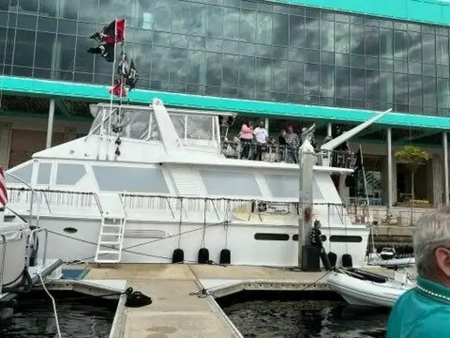 Viking Cockpit Motoryacht