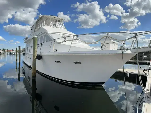 Viking Cockpit Motoryacht