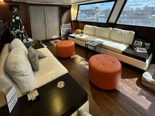 Viking Cockpit Motoryacht