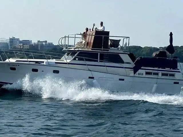 Viking 43 Double Cabin