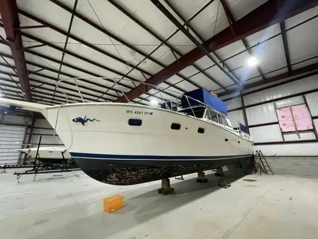 Viking Yachts 43 Double Cabin