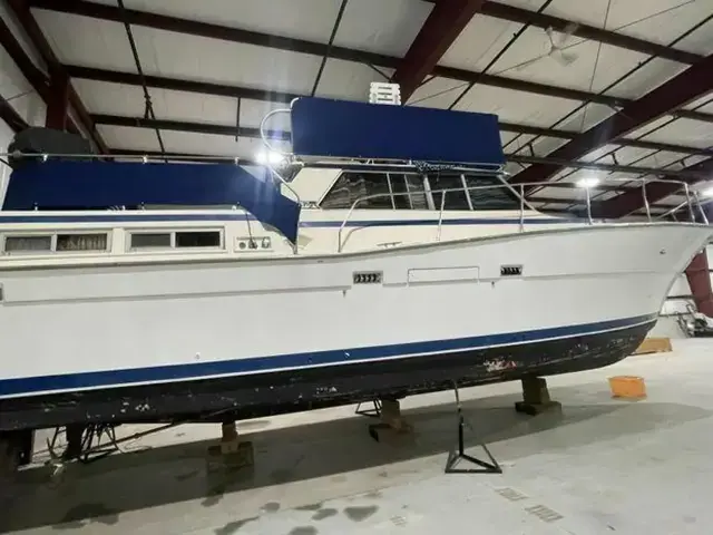 Viking Yachts 43 Double Cabin