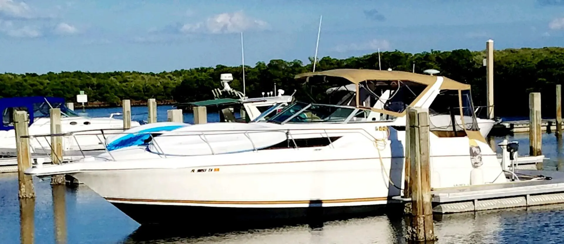 1995 Wellcraft 3600 martinique