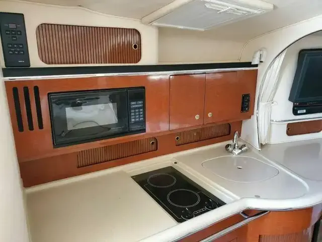 Sea Ray 310 Sundancer