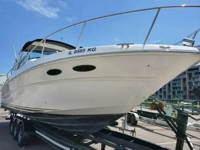 Sea Ray 310 Sundancer