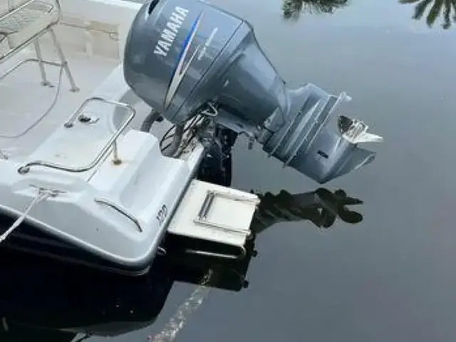 Century 2001 Center Console