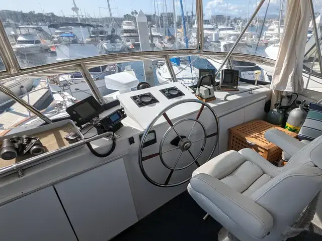 Sea Ranger 45