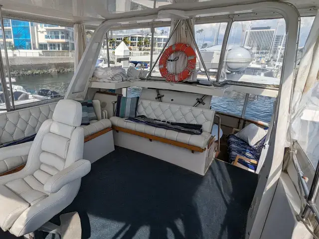 Sea Ranger 45