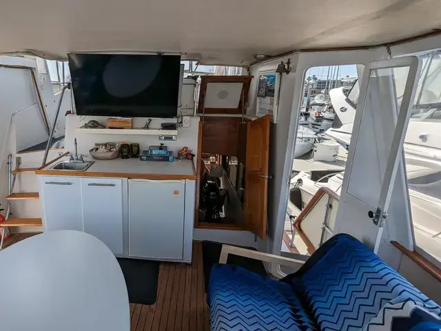 Sea Ranger 45