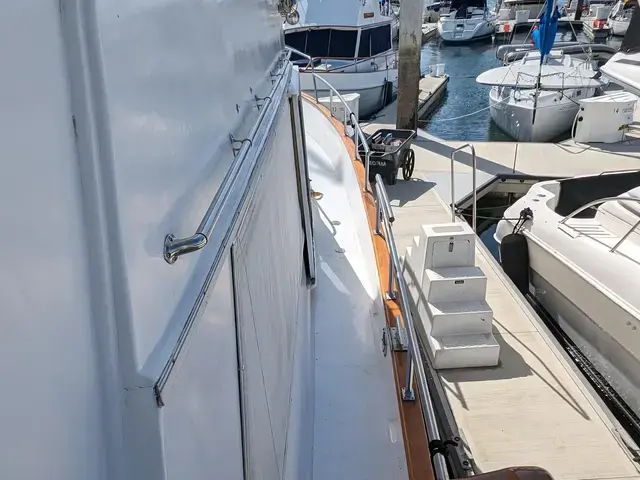 Sea Ranger 45