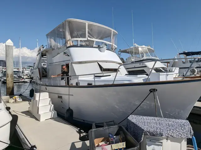 Sea Ranger 45