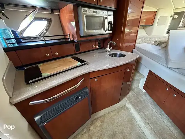 Sea Ray Sundancer 310