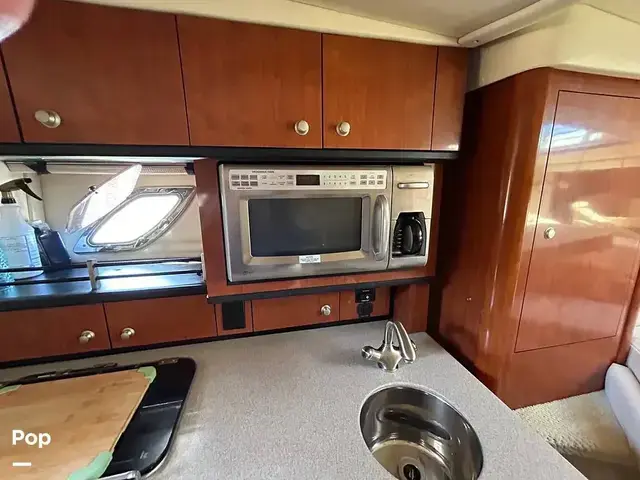 Sea Ray Sundancer 310