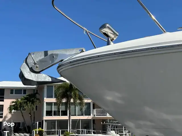 Sea Ray Sundancer 310