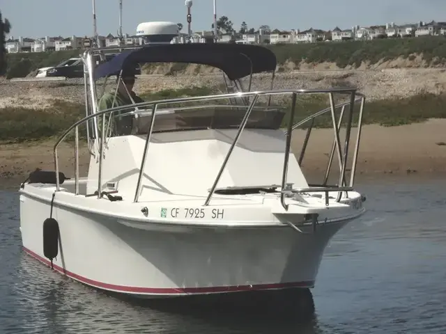 Skipjack 25 Custom Sport Fisher