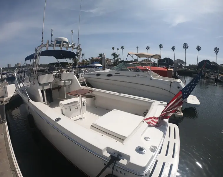 1991 Skipjack 25 custom sport fisher