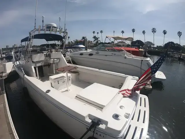 Skipjack 25 Custom Sport Fisher