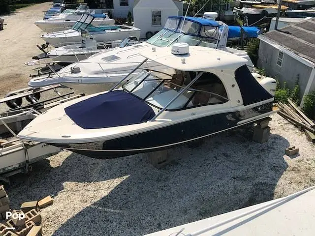 2015 Scout 275 dorado